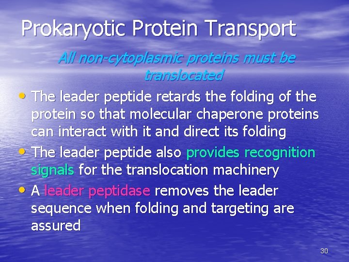 Prokaryotic Protein Transport All non-cytoplasmic proteins must be translocated • The leader peptide retards Prokaryotic Protein Transport All non-cytoplasmic proteins must be translocated • The leader peptide retards