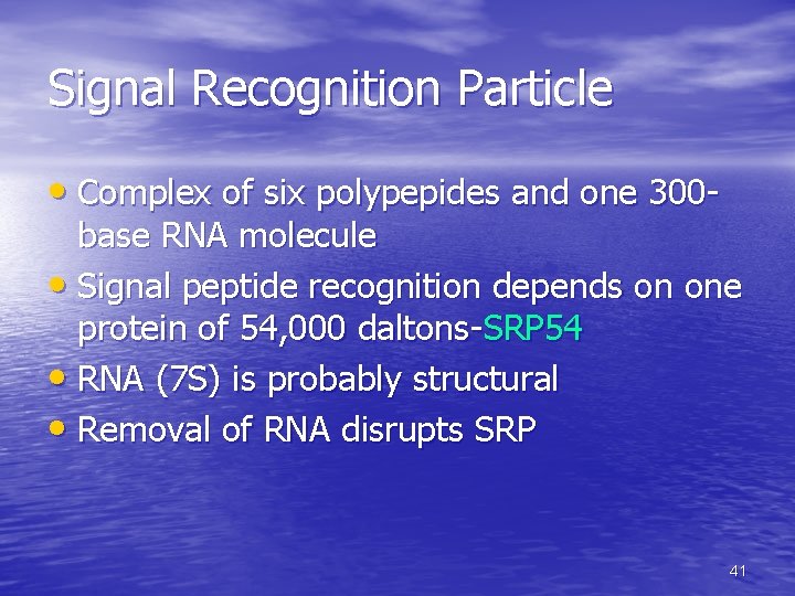 Signal Recognition Particle • Complex of six polypepides and one 300 - base RNA Signal Recognition Particle • Complex of six polypepides and one 300 - base RNA