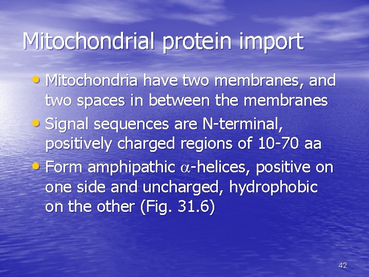 Mitochondrial protein import • Mitochondria have two membranes, and two spaces in between the Mitochondrial protein import • Mitochondria have two membranes, and two spaces in between the