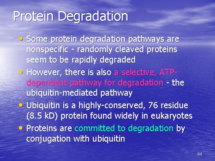 Protein Degradation • Some protein degradation pathways are • • • nonspecific - randomly Protein Degradation • Some protein degradation pathways are • • • nonspecific - randomly