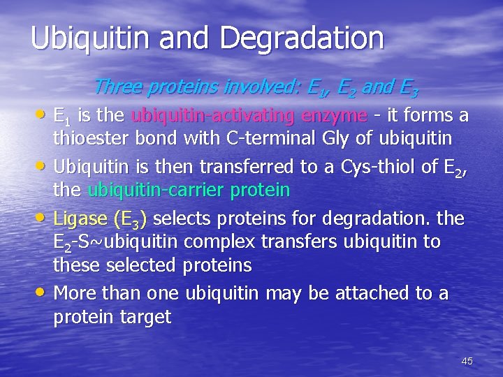 Ubiquitin and Degradation Three proteins involved: E 1, E 2 and E 3 • Ubiquitin and Degradation Three proteins involved: E 1, E 2 and E 3 •