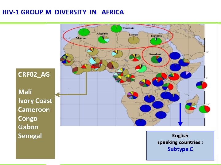 HIV-1 GROUP M DIVERSITY IN AFRICA CRF 02_AG Mali Ivory Coast Cameroon Congo Gabon