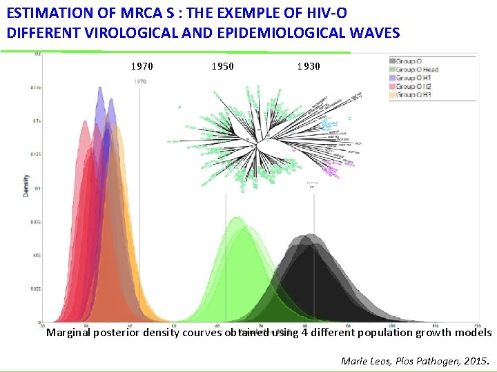 ESTIMATION OF MRCA S : THE EXEMPLE OF HIV-O DIFFERENT VIROLOGICAL AND EPIDEMIOLOGICAL WAVES