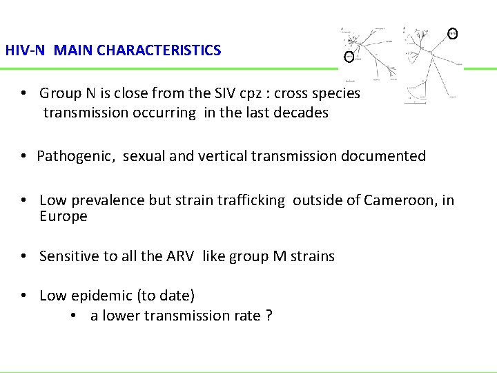 HIV-N MAIN CHARACTERISTICS • Group N is close from the SIV cpz : cross