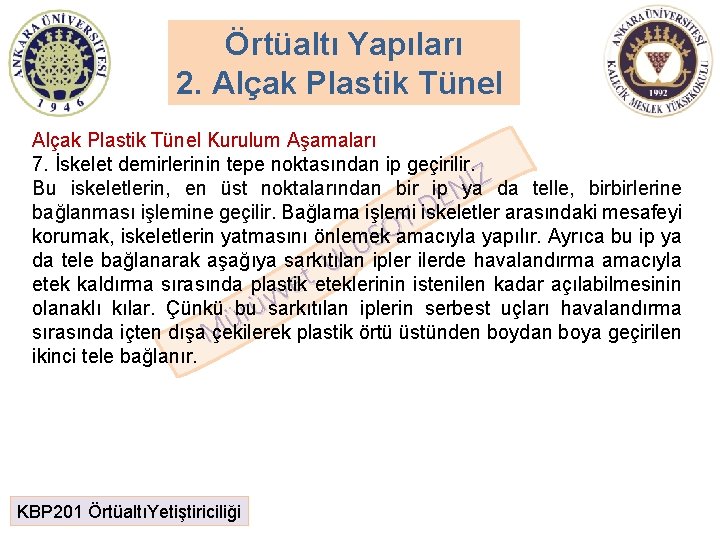 Örtüaltı Yapıları 2. Alçak Plastik Tünel Kurulum Aşamaları 7. İskelet demirlerinin tepe noktasından ip Örtüaltı Yapıları 2. Alçak Plastik Tünel Kurulum Aşamaları 7. İskelet demirlerinin tepe noktasından ip