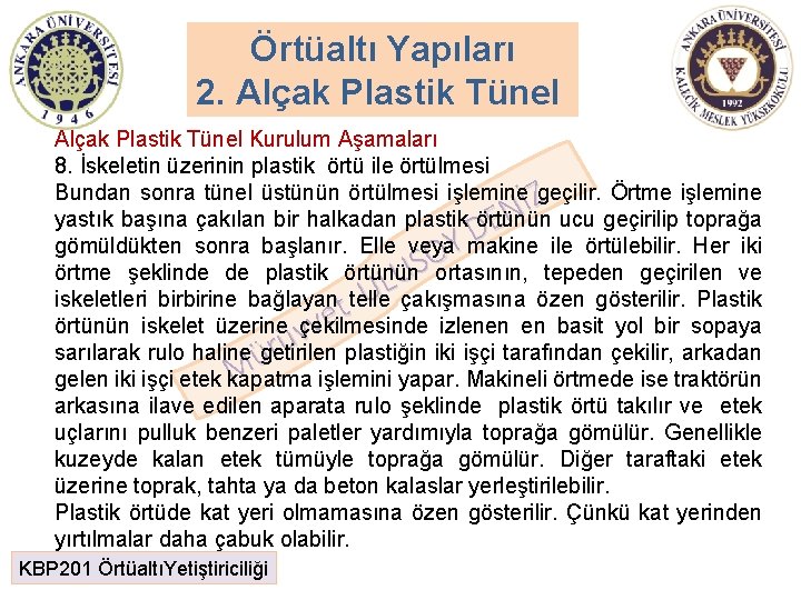 Örtüaltı Yapıları 2. Alçak Plastik Tünel Kurulum Aşamaları 8. İskeletin üzerinin plastik örtü ile