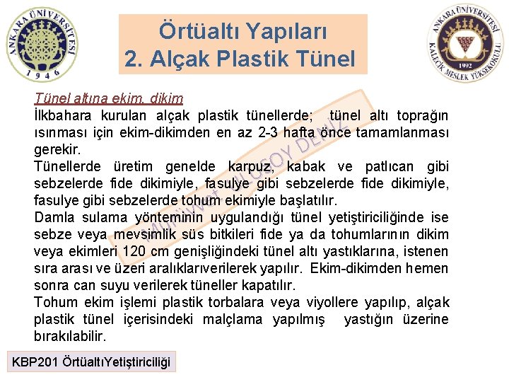 Örtüaltı Yapıları 2. Alçak Plastik Tünel altına ekim, dikim İlkbahara kurulan alçak plastik tünellerde; Örtüaltı Yapıları 2. Alçak Plastik Tünel altına ekim, dikim İlkbahara kurulan alçak plastik tünellerde;