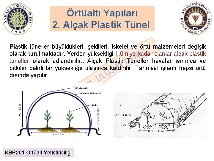 Örtüaltı Yapıları 2. Alçak Plastik Tünel Plastik tüneller büyüklükleri, şekilleri, iskelet ve örtü malzemeleri Örtüaltı Yapıları 2. Alçak Plastik Tünel Plastik tüneller büyüklükleri, şekilleri, iskelet ve örtü malzemeleri