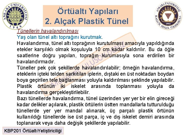 Örtüaltı Yapıları 2. Alçak Plastik Tünellerin havalandırılması Yaş olan tünel altı toprağını kurutmak. Havalandırma,