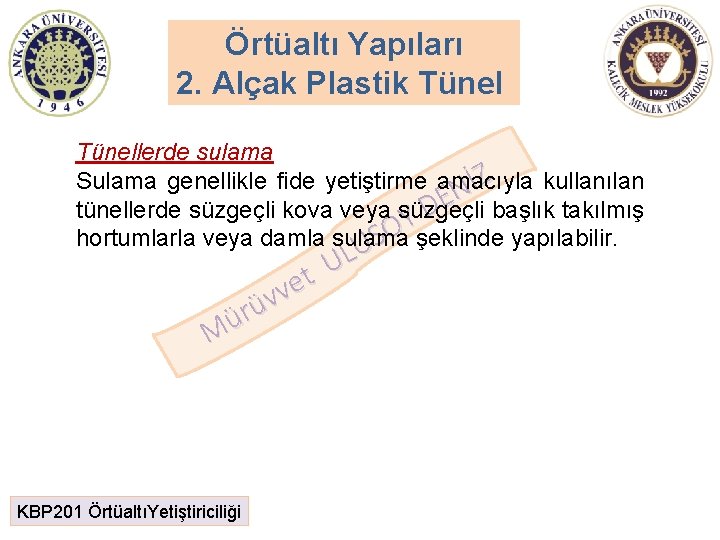 Örtüaltı Yapıları 2. Alçak Plastik Tünellerde sulama Z Sulama genellikle fide yetiştirme amacıyla kullanılan