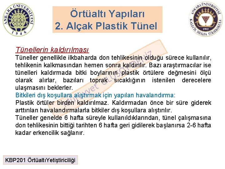 Örtüaltı Yapıları 2. Alçak Plastik Tünellerin kaldırılması İZ sürece kullanılır, Tüneller genellikle ilkbaharda don