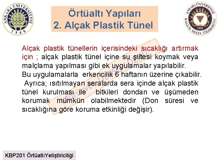 Örtüaltı Yapıları 2. Alçak Plastik Tünel Alçak plastik tünellerin içerisindeki sıcaklığı artırmak Z İ