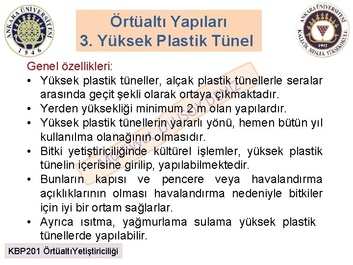 Örtüaltı Yapıları 3. Yüksek Plastik Tünel Genel özellikleri: • Yüksek plastik tüneller, alçak plastik