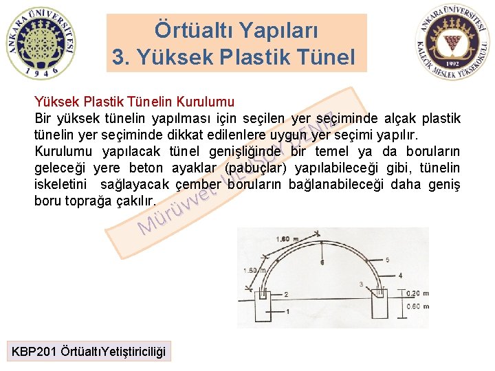 Örtüaltı Yapıları 3. Yüksek Plastik Tünelin Kurulumu Bir yüksek tünelin yapılması için seçilen yer Örtüaltı Yapıları 3. Yüksek Plastik Tünelin Kurulumu Bir yüksek tünelin yapılması için seçilen yer