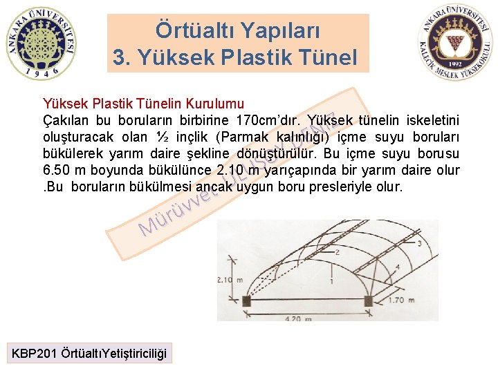 Örtüaltı Yapıları 3. Yüksek Plastik Tünelin Kurulumu Çakılan bu boruların birbirine 170 cm’dır. Yüksek