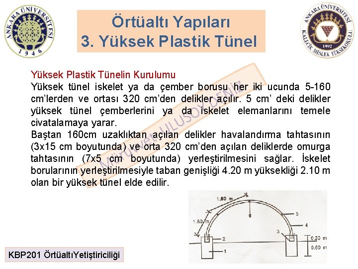 Örtüaltı Yapıları 3. Yüksek Plastik Tünelin Kurulumu Yüksek tünel iskelet ya da çember borusu