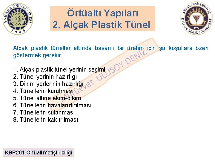 Örtüaltı Yapıları 2. Alçak Plastik Tünel Alçak plastik tüneller altında başarılı bir üretim için