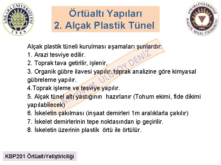 Örtüaltı Yapıları 2. Alçak Plastik Tünel Alçak plastik tüneli kurulması aşamaları şunlardır: 1. Arazi