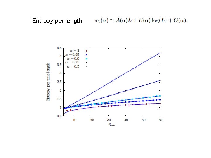 Entropy per length 