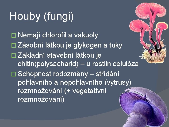 Houby (fungi) � Nemají chlorofil a vakuoly � Zásobní látkou je glykogen a tuky