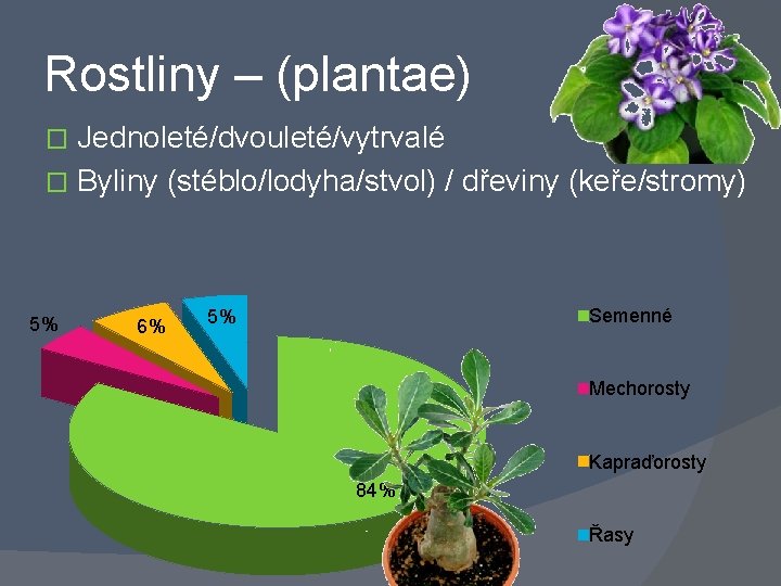 Rostliny – (plantae) Jednoleté/dvouleté/vytrvalé � Byliny (stéblo/lodyha/stvol) / dřeviny (keře/stromy) � 5% 6% Semenné
