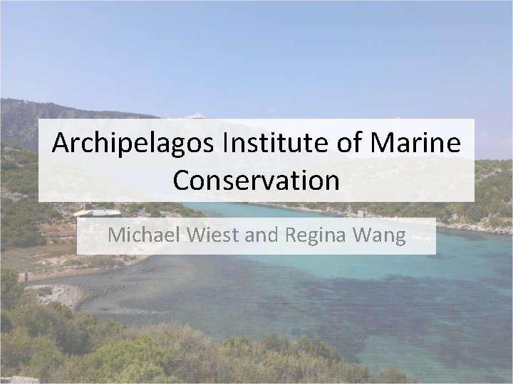 Archipelagos Institute of Marine Conservation Michael Wiest and Regina Wang 