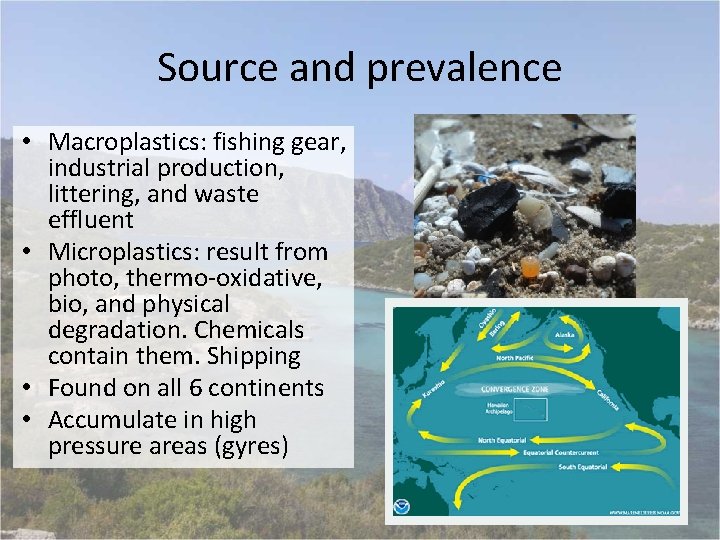 Source and prevalence • Macroplastics: fishing gear, industrial production, littering, and waste effluent •