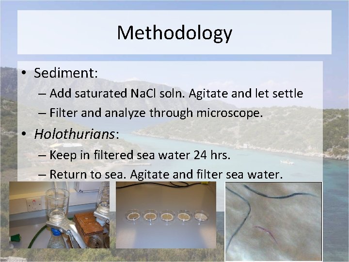 Methodology • Sediment: – Add saturated Na. Cl soln. Agitate and let settle –