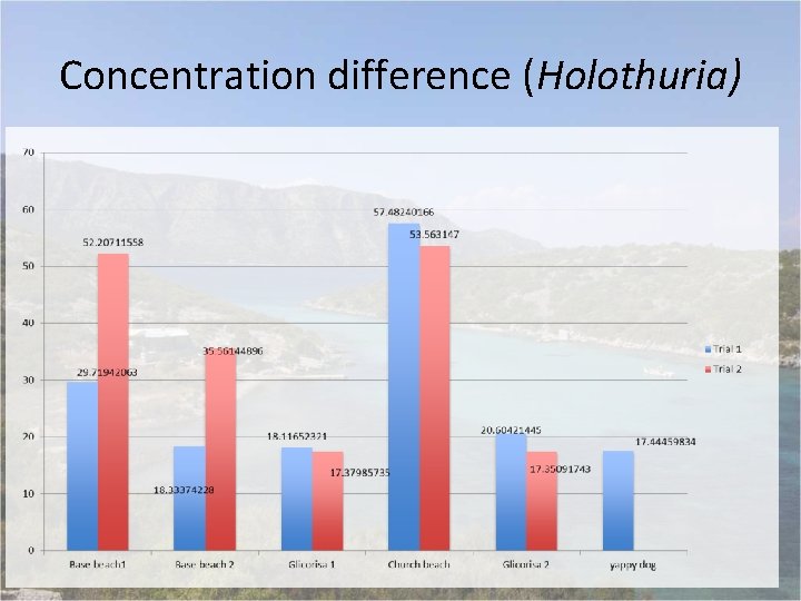 Concentration difference (Holothuria) 