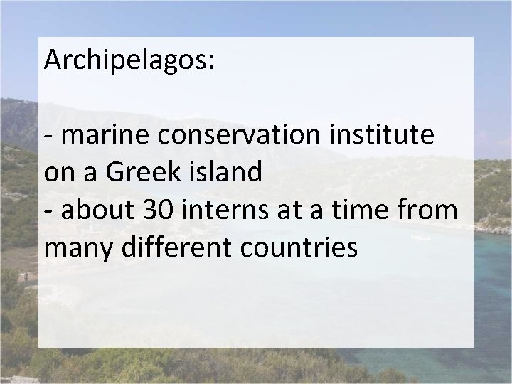 Archipelagos: - marine conservation institute on a Greek island - about 30 interns at