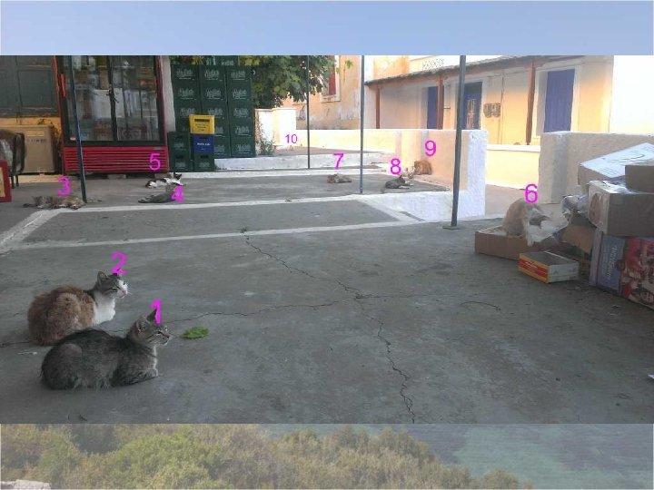 Some pictures of fun times! 