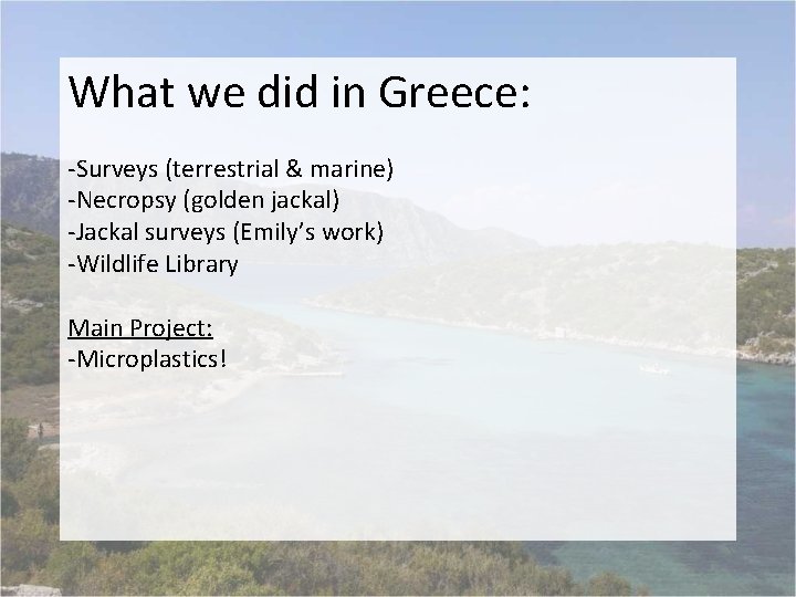 What we did in Greece: -Surveys (terrestrial & marine) -Necropsy (golden jackal) -Jackal surveys