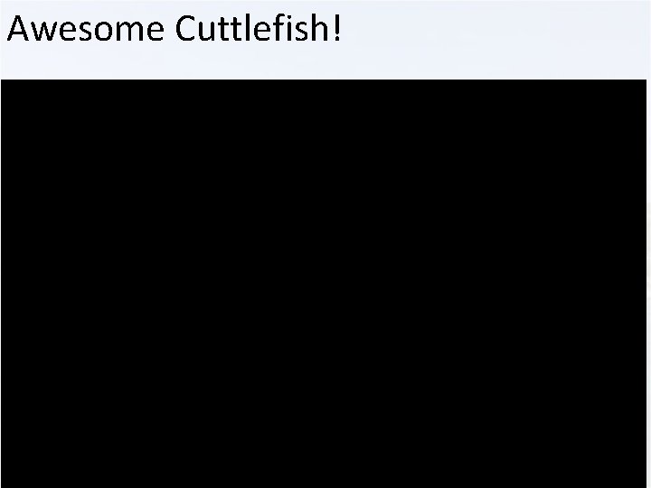 Awesome Cuttlefish! 