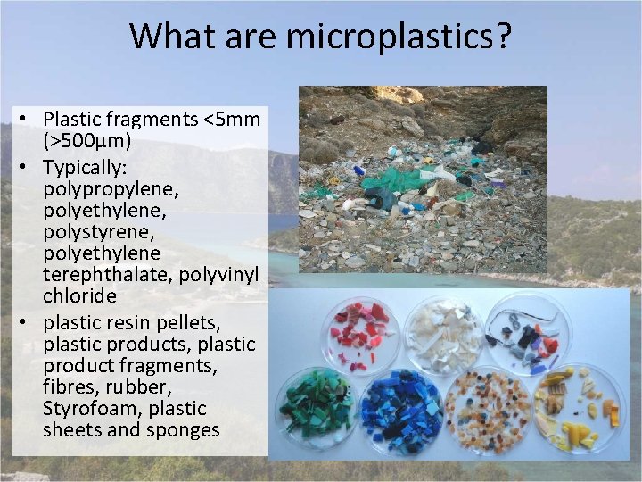 What are microplastics? • Plastic fragments <5 mm (>500µm) • Typically: polypropylene, polyethylene, polystyrene,