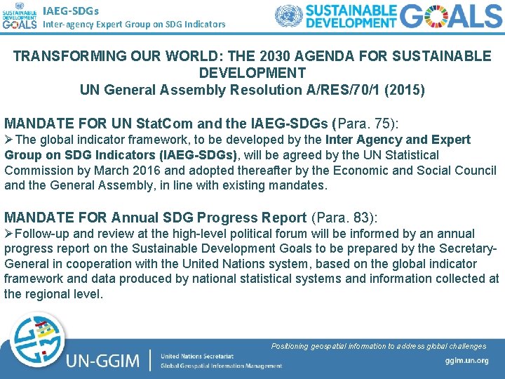 IAEG-SDGs Inter-agency Expert Group on SDG Indicators Working Group on Geospatial Information TRANSFORMING OUR