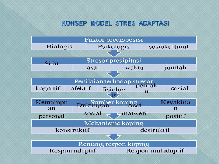 KONSEP MODEL STRES ADAPTASI 