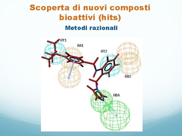 Scoperta di nuovi composti bioattivi (hits) Metodi razionali 