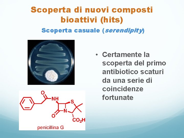 Scoperta di nuovi composti bioattivi (hits) Scoperta casuale (serendipity) • Certamente la scoperta del