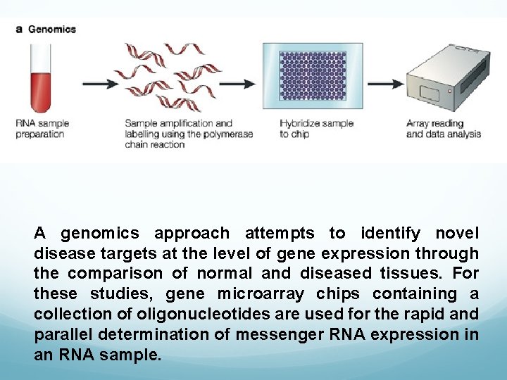 A genomics approach attempts to identify novel disease targets at the level of gene