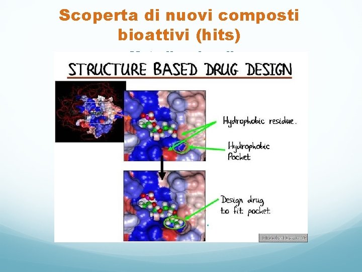 Scoperta di nuovi composti bioattivi (hits) Metodi razionali 