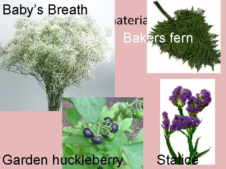 Baby’s Breath Design materials Bakers fern Garden huckleberry Statice 