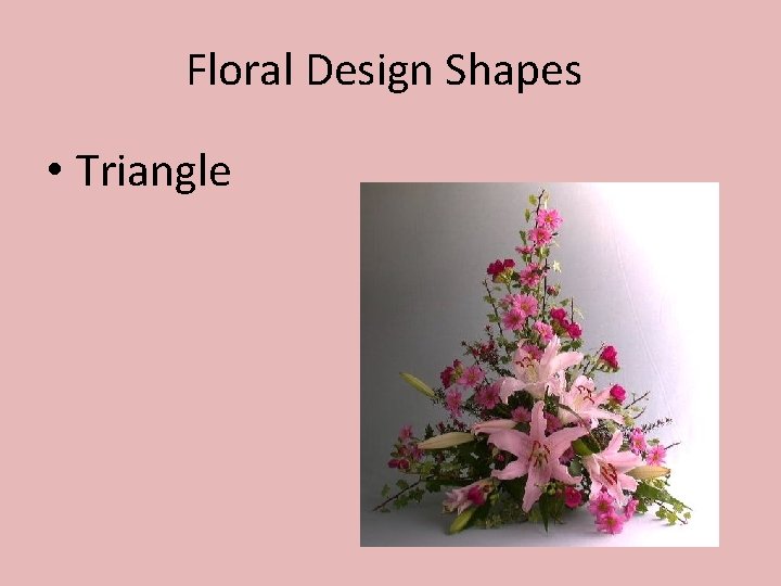 Floral Design Shapes • Triangle 