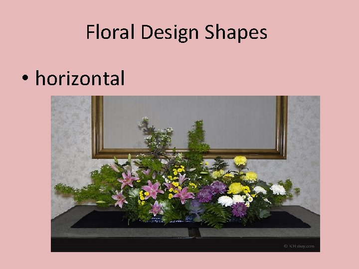 Floral Design Shapes • horizontal 