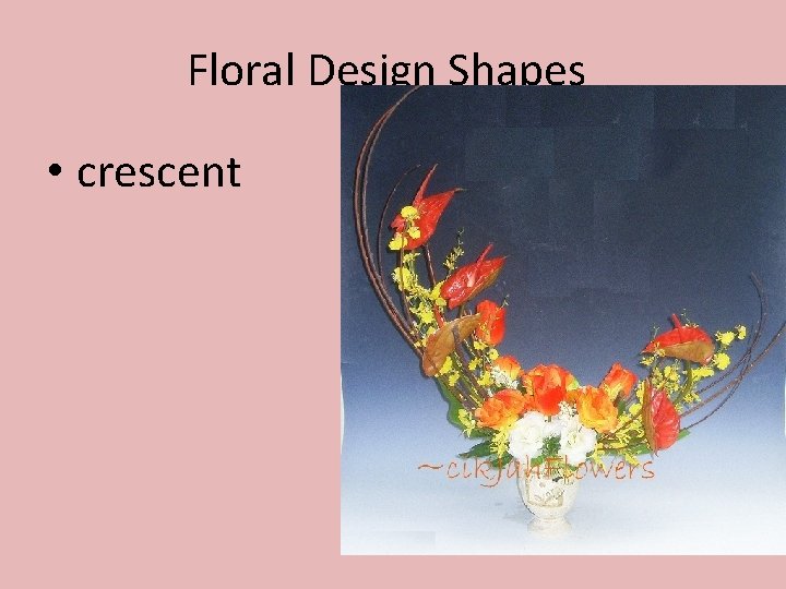 Floral Design Shapes • crescent 