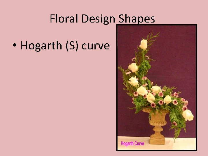 Floral Design Shapes • Hogarth (S) curve 