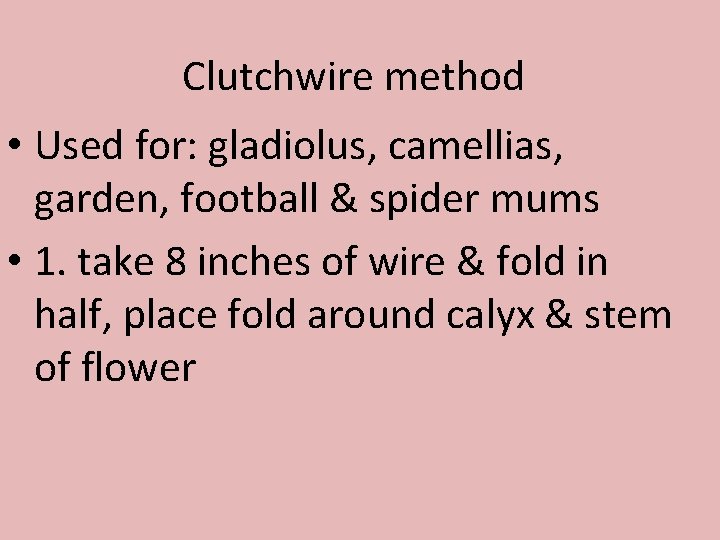 Clutchwire method • Used for: gladiolus, camellias, garden, football & spider mums • 1.