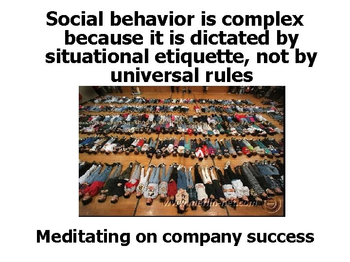 Social behavior is complex because it is dictated by situational etiquette, not by universal