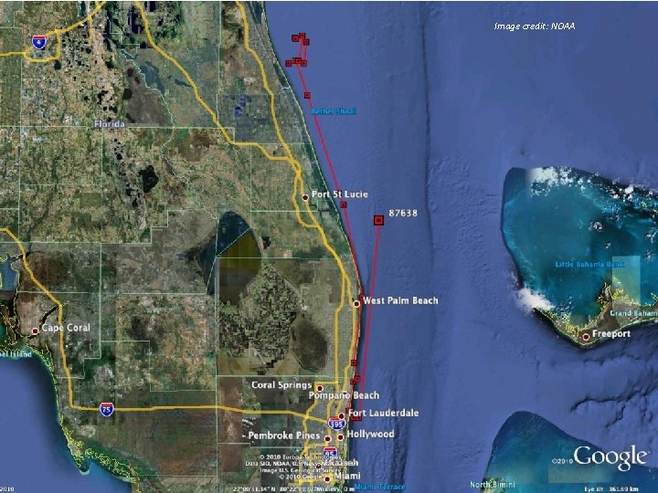Image credit: NOAA Lesson 13 Right Whale Migration 