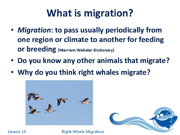 What is migration? • Migration: to pass usually periodically from one region or climate