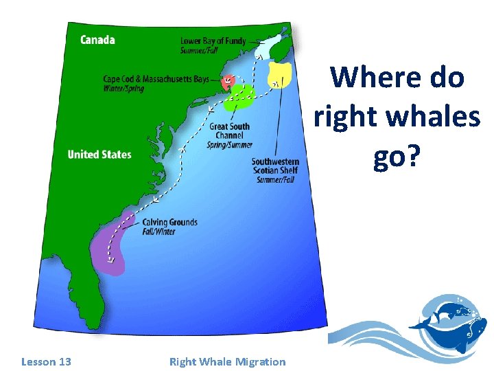 Where do right whales go? Lesson 13 Right Whale Migration 